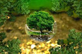 Día europeo de la red natura 2000. Dia Mundial De Proteccion De La Naturaleza Conoce Que Podes Hacer Para Ayudar Al Medioambiente Misionesonline