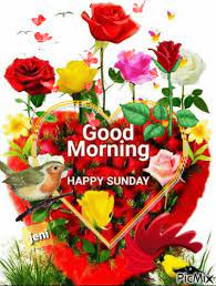Good morning images, good morning love images, coffee gif, romantic gif, photos hd, photos with quotes, wallpaper images, saturday wallpaper, nature pics, pics for her, clipart images, funny clipart, good morning quotes, quotes and images, test message, funny message, text for him, love quotes, images and sayings, quotes and sayings, wishes images, wishes quotes, happy sunday images, images. Good Morning Gif Images For Sunday Hutomo