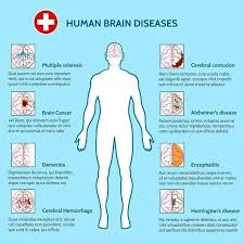 Pin On Nursing School