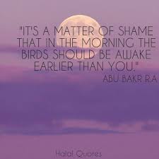 Halal Quotes We Heart It Quotes We Heart It Islamic Quotes Quotes