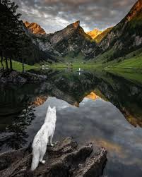 De la galaxii aflate in coliziune la planeta pamant vazuta de pe luna, 9am.ro va prezinta cele mai frumoase fotografii realizate vreodata de nasa. Au Fost Alese Cele Mai Impresionante Fotografii Din 2018 Cum Arata Imaginile