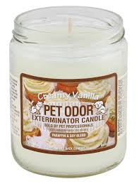 This enzyme formulated candle removes odors instead of covering them up and lasts for 70 hours. Pet Odor Exterminator Candles Mutneys Professional Pet Care