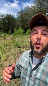 Piggies! #mulberry #pigs #bacon The