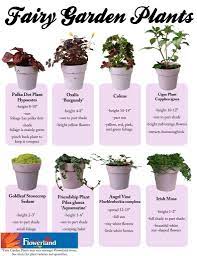 Posted by linda guaneri on apr 9th 2021. Fairy Gardening Fruit Basket Flowerland Fairy Garden Fairy Garden Plants Fairy Garden Diy