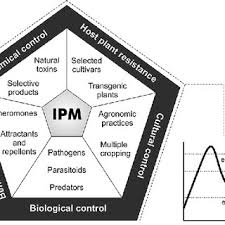 Ipm is an abbreviation for integrated pest management. Control Tactics Used In Ipm Integrated Pest Management Modified Download Scientific Diagram
