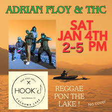 Ventura Information Group