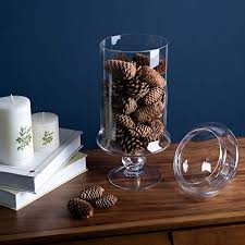 Rubbermaid roughneck tote is a simple storage solution for your home. Wayfair Tall Clear Glass Apothecary Jar 22in Buy Online In Belize At Belize Desertcart Com Productid 101777119