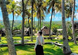 Wisata merapi buka atau tidak. Lagi Viral Intip Seperti Apa Keindahan Pondok Bambu Rangdo Parangtritis Yuk Alam Yang Indah Pantai Pemandangan