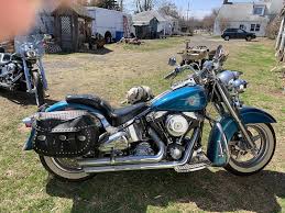 Image result for Aqua Pearl 1994 FLSTF