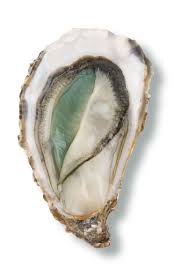 Huitres Fines De Claire Vertes Food Artwork Seafood Buffet Oysters