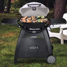 Weber Q 3200 Propane Gas Grill Titanium 57060001 Bbqguys