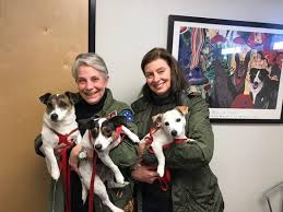 Arizona agribusiness & equine center inc. Companion Pet Clinic Phoenix 3129 E Cactus Rd Phoenix Az Veterinarians Mapquest