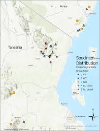 Image result for Vepris rogersii