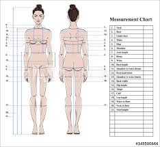 Pin on style comic book ink. Woman Body Measurement Chart Scheme For Measurement Human Body For Sewing Clothes Female Figure Front And Back Views Template For Dieting Fitness Vector Poster Alina