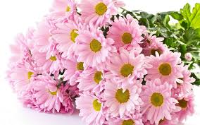        ! - Flowers.ua