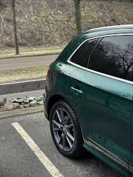 Image result for Azorean Green 2017 Q5