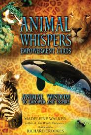 We did not find results for: Animal Whispers Empowerment Cards Book Summary Video Official Publisher Page Simon Schuster