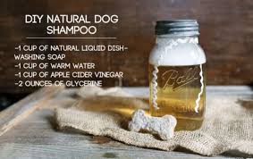 Maybe you would like to learn more about one of these? How To Make Grandma S Natural Homemade Shampoo Grandma S Things