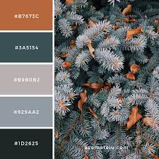 Wordpress Com Winter Color Palette Colour Pallete Color Palette