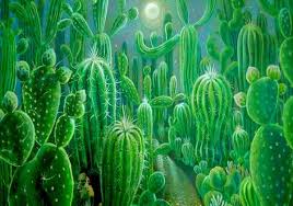 Esta clase de cactus no ha sido bien vista por comunidades cristianas pues se le relaciona con brujería. San Pedro Wachuma Posts Facebook