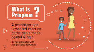 Image result for Priapism