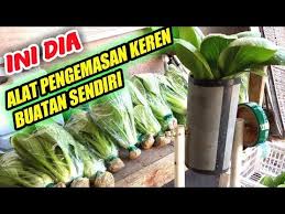 Terdapat 160 penyuplai fungsi jus tomat, sebagian besar berlokasi di asia. Cara Packing Sawi Pakcoy Hidroponik Pakai Alat Packing Superr Buatan Sendiri Youtube Hidroponik Produk Benih Tanaman