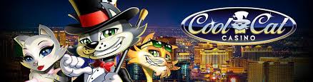 Lucky cat casino, our super cool cat casino also has daily free coins. Coolcat Casino Play With 3300 50 Free Spins Best Online Casino