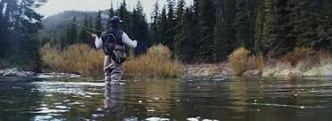 Check spelling or type a new query. 50 Off Cabela S Coupons Promo Codes August 2021