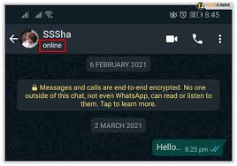 How to check your application status. How To Check If Someone Is Online In Whatsapp