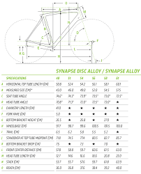 53 Skillful Cannondale Synapse Sizing Chart