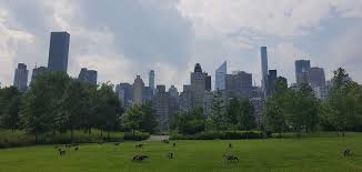 It has to be done outside, of course, which in central texas often means in brutally hot temperatures. Best Locations For Lawn Care Companies Lawn Love
