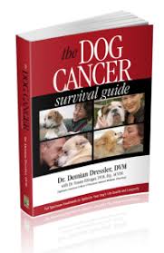The thought of colon cancer is certainly a frightening prospect, but keep in mind there are many noncancerous causes of these symptoms. The Dog Cancer Survival Guide Maui Media Llc