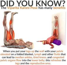 Pin On Flexibility Exercises