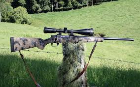 weatherbys vanguard hsp varmint rifle review aussiehunter