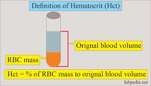 Image result for Blood Volume
