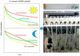 Find american leak detection branches locations opening hours and closing hours in in mount washington, ky and other contact details such as address, phone number, website. Water Free Full Text Dissolved Organic Matter Quality And Biofilm Composition Affect Microbial Organic Matter Uptake In Stream Flumes Html