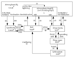 Chapter 6 Geochemical Cycles