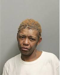 ᐅ Illinois Criminal Records 2009-2025