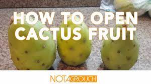 You might be thinking, what does that question even mean? How To Open And Eat Cactus Fruit Youtube