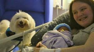 Baby safely delivered, with a little help from woman's best friend