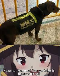Megumins New Friend Anime Memes Japanese Anime Series Funny Memes
