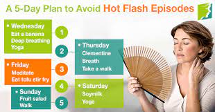 A 5-Day Plan To Avoid Hot Flash Episodes | Menopause Now