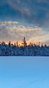 The Latest Iphone11 Iphone11 Pro Iphone 11 Pro Max Mobile Phone Hd Wallpapers Free Download Winter Forest Sp Forest Sunset Winter Forest Forest Photography