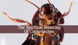 The Spiritual Meaning Of Cockroaches Is A Very Vast Topic But Briefly They Represent Survival Responsibility And Spiritual Meaning Meant To Be Spirituality