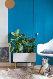 Diy Porte Plante En Bois Adc X Le Bon Coin Caisse Bois Deco Caisse De Vin Et Bricolage Et Loisirs Creatifs