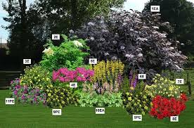 À l'ombre ou au soleil, elles offrent un large éventail de formes ou de couleurs. Massif De Campagne Presentation Parterre De Fleurs Idees Jardin Jardin En Plein Soleil