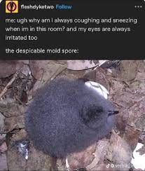 Image result for tbn:ANd9GcSHbzXs1kessAqDv7vBRCjqGb5EOeKOyWWMr8QKkcYGZeP2G5KpJA