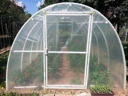 Easy Way To Build Pvc Greenhouse Diy Pvc Greenhouse Greenhouse Plans Diy Greenhouse