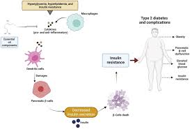 Image result for Aeollanthus myrianthus