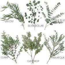 Check spelling or type a new query. Types Of Eucalyptus Wedding Flowers Floral Wedding Flower Arrangements
